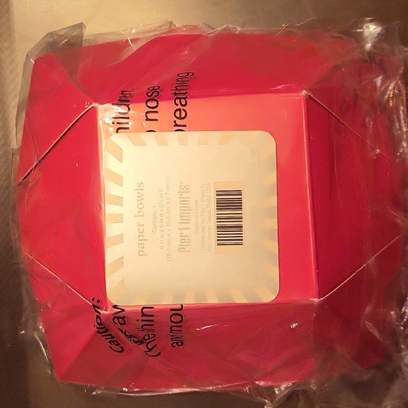 Hot Pink, Lime Green and Zebra Holiday Paper Bowls by Pier 1 Set of 12 - Picture 4 of 6